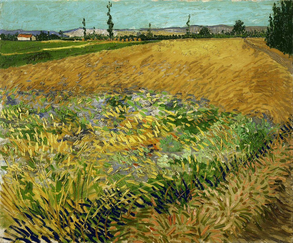 Vincent van Gogh - Wheatfield